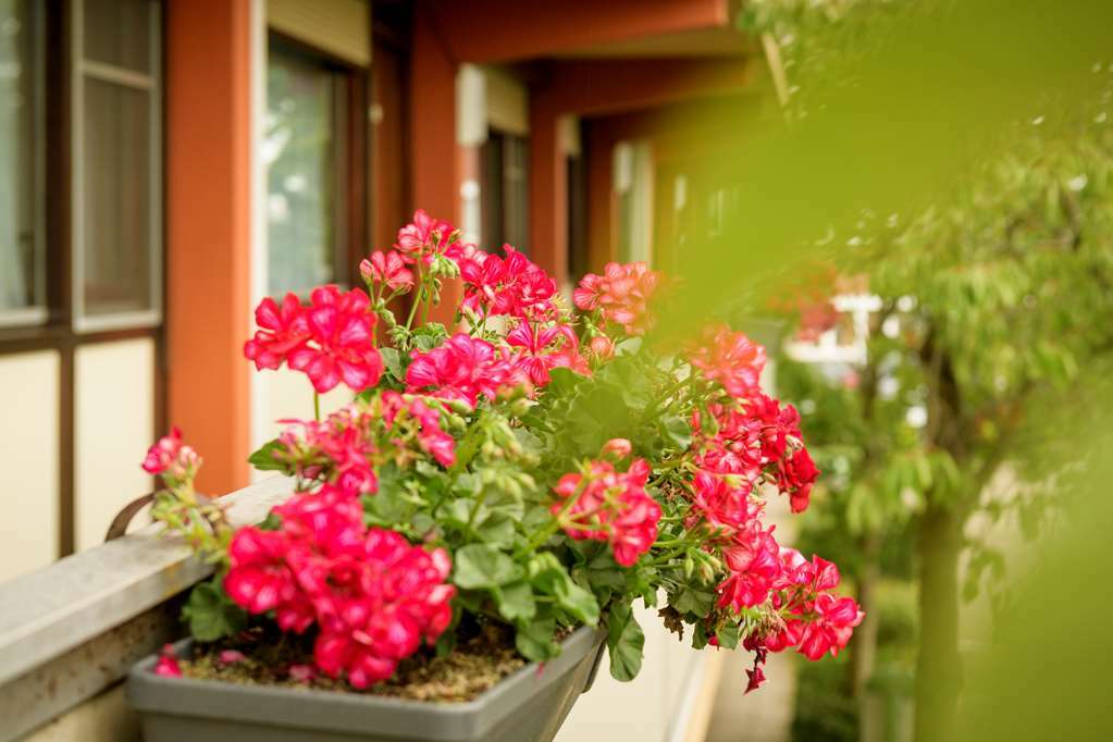 Greet Brussels Airport Zaventem Hotel Luaran gambar